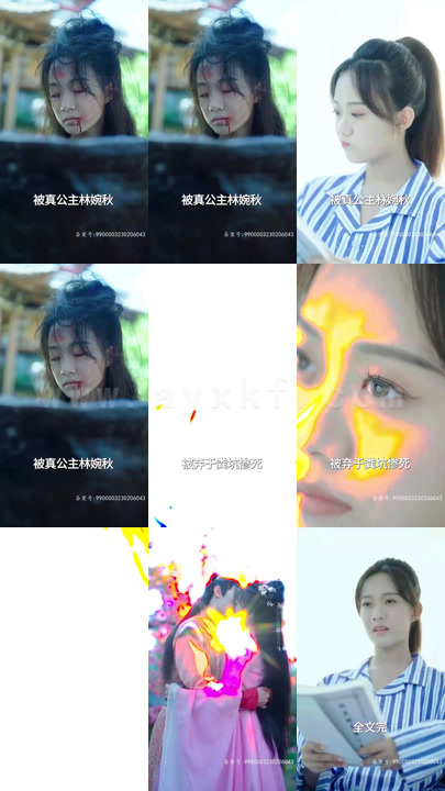 14-病娇公主闹翻天(82集)