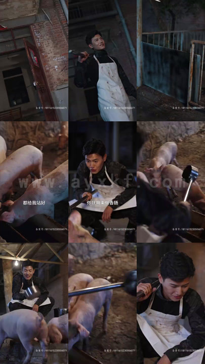 ssd4997-闪婚绝色女总裁(83集) 内容图1 一个实时收录全网最齐全的短视频短剧网剧小剧场的网站! ssd4997-闪婚绝色女总裁(83集) 最新 图1张