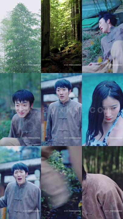 10-天相神医惹人爱(72集)