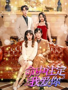 13-命中注定我爱你(99集)