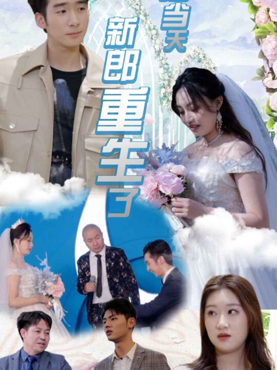 6446-结婚当天新郎重生了-结婚一百零一次(101集)