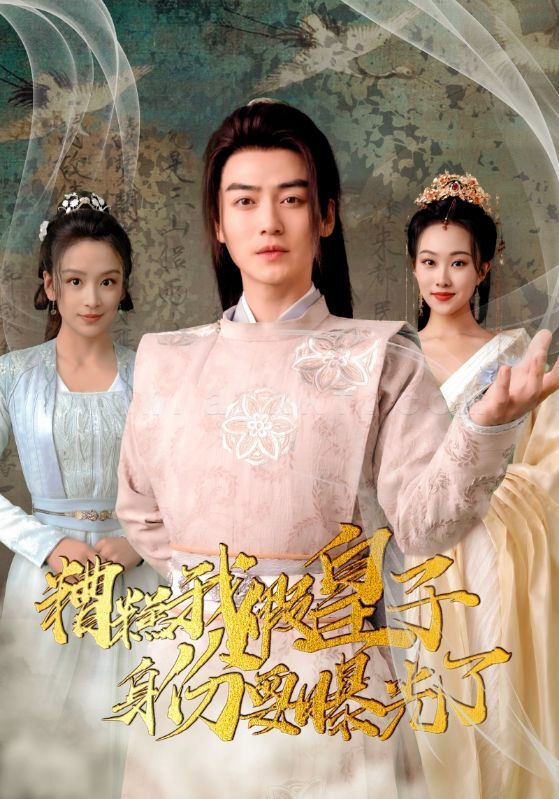 6775-糟糕我假皇子的身份要曝光了(90集) 最新 图1张