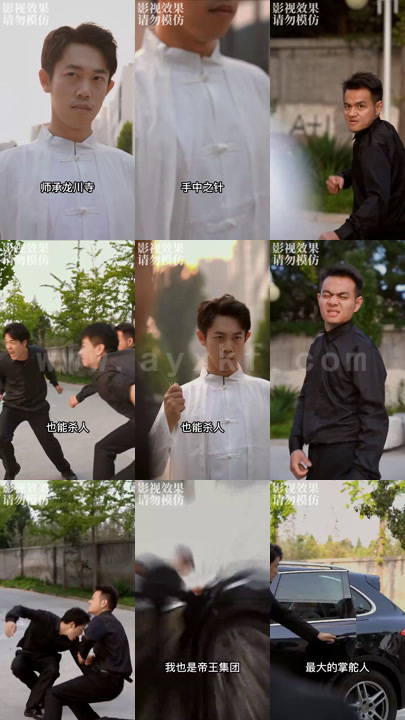 ssd4563-帝婿归来(100集)