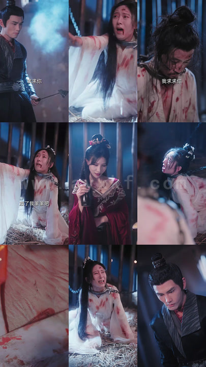 2737-弃妃惊华-侯爷追妻忙(80集)