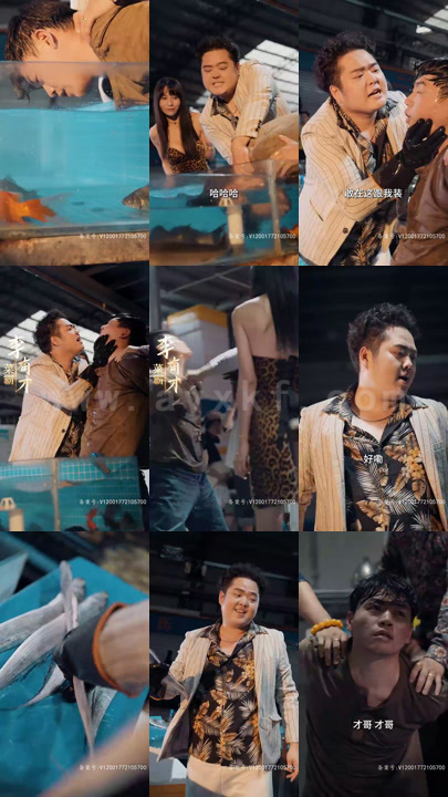 ssd4137-狂飙之风再起时(103集) 最新 图1张