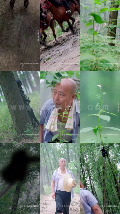 2719-我的老婆是超级美女(98集) 内容图1 一个实时收录全网最齐全的短视频短剧网剧小剧场的网站! 2719-我的老婆是超级美女(98集) 最新 图1张