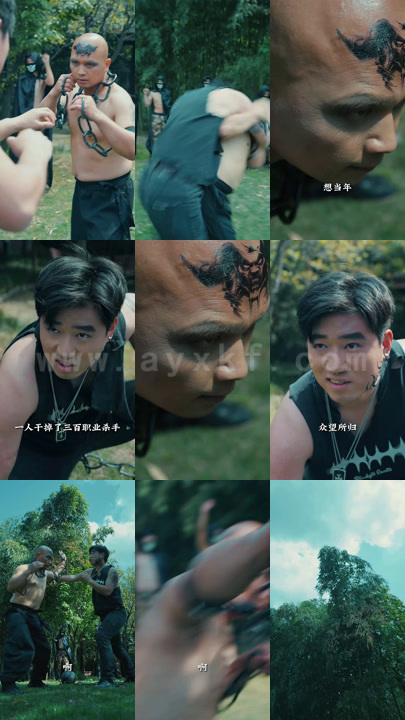 2956-江南神豪叼上天(100集)