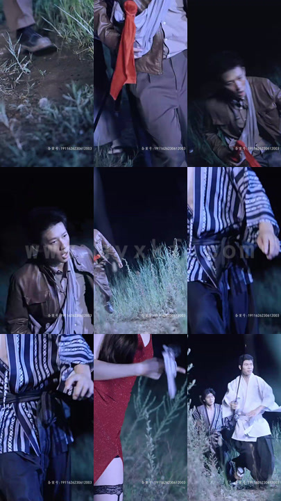 17-鉴宝龙王(100集)