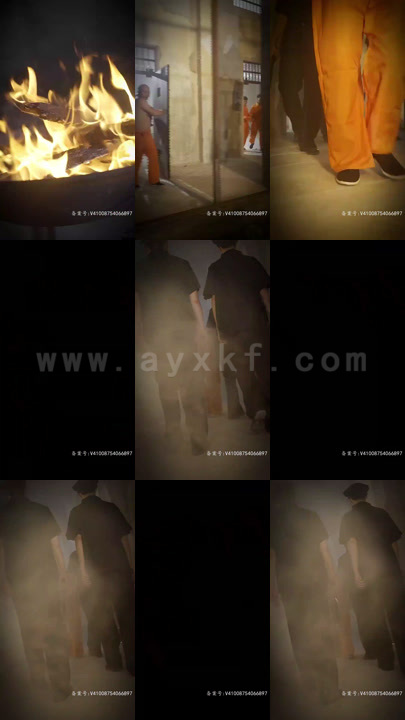 2676-众神殿之绝世狂龙(83集) 最新 图1张