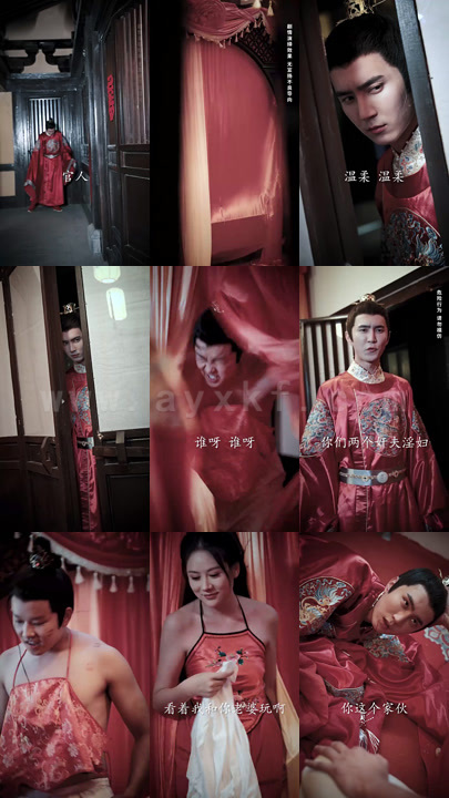 2829-回到古代当狂婿(87集)