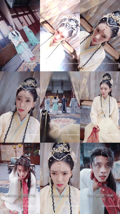 2952-新版长公主在上88集