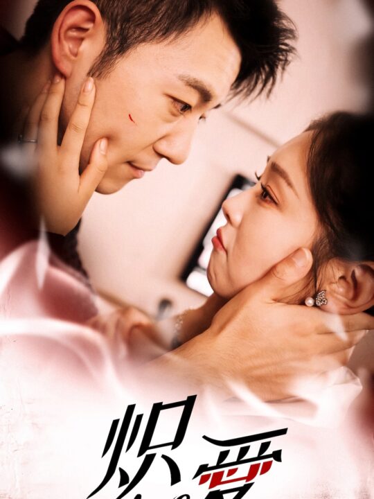 27-炽爱(80集)甄子琪