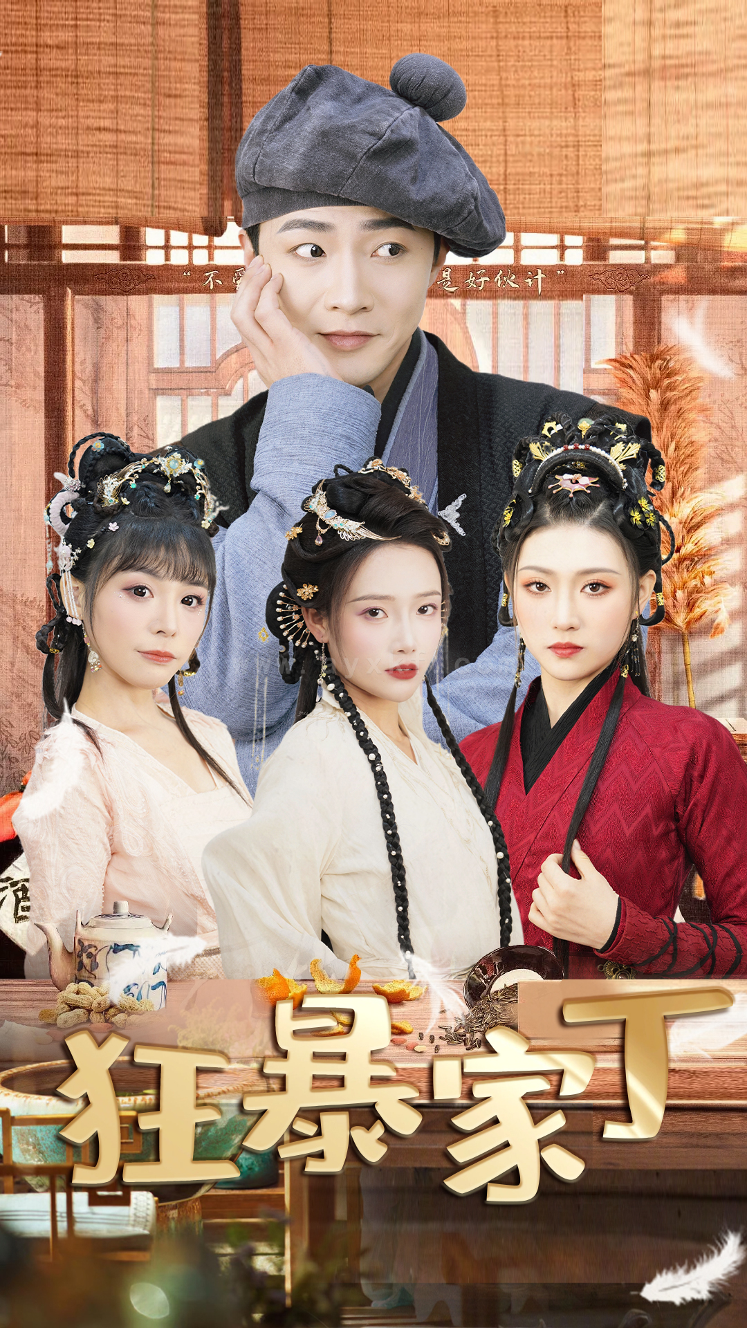 7049-狂暴家丁-飞驰人生之超品家丁(90集) 最新 图1张