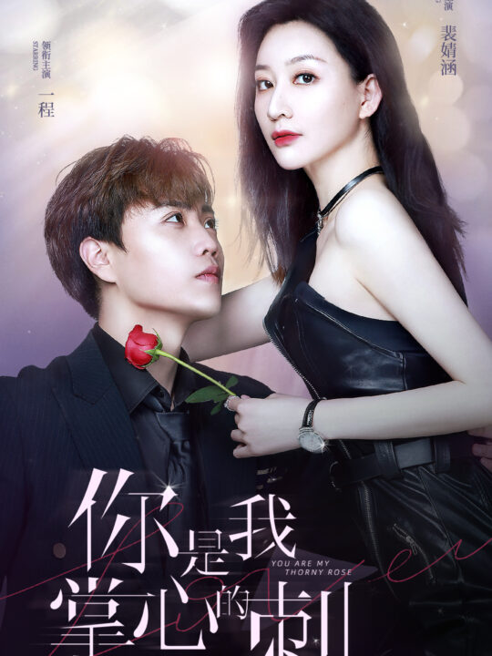 3-你是我掌心的刺(100集)