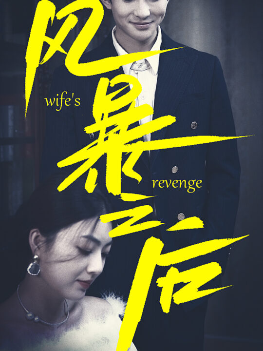 29-风暴之后(80集)