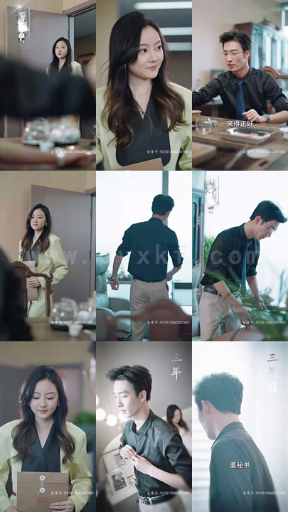 2-女主她一心只想搞事业(100集) 最新 图1张