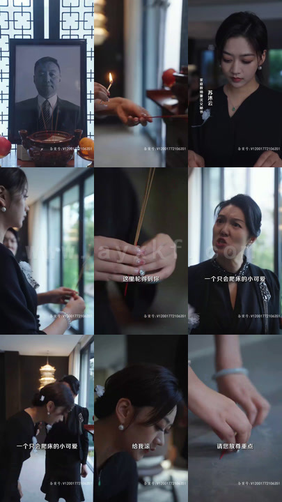 11-沈先生为何要这样对我(82集)