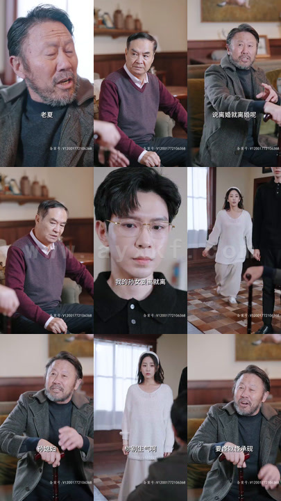 10-偷不走的爱与光(96集)