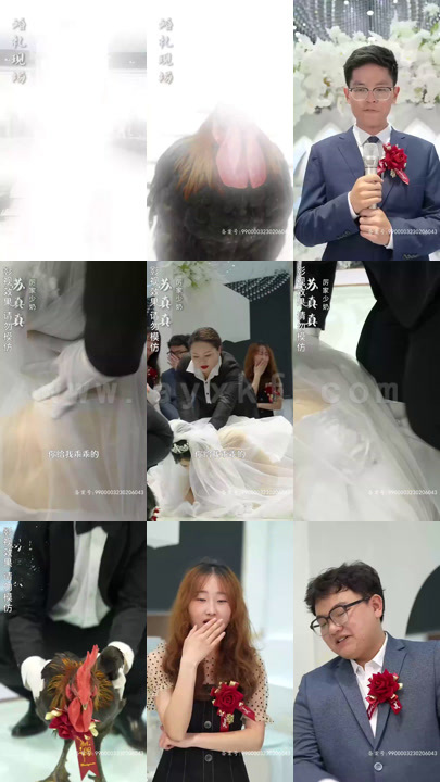 6961-总裁夫人的双面身份(79集)