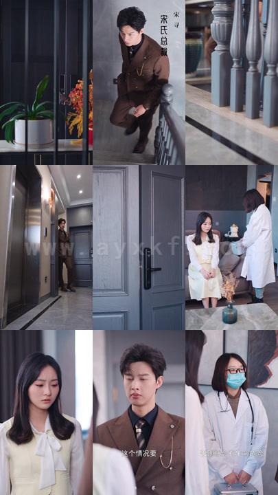 12-宋总-她才是你要找的颜小姐(18集)