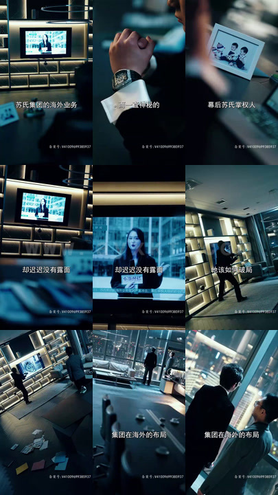 5-商业制霸-暗星崛起(93集)界