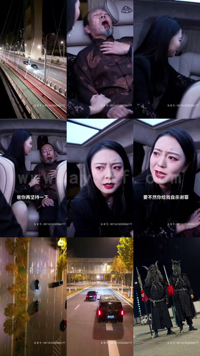 18-绝世龙婿(80集)