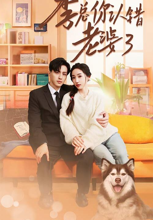 7933-季总你认错老婆了-远在眼前的你(90集)