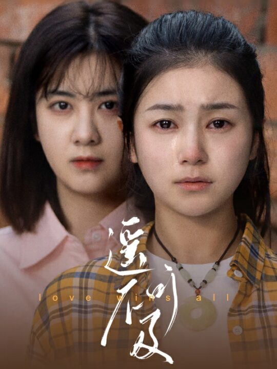 7936-遥不可及(90集)严雯丽