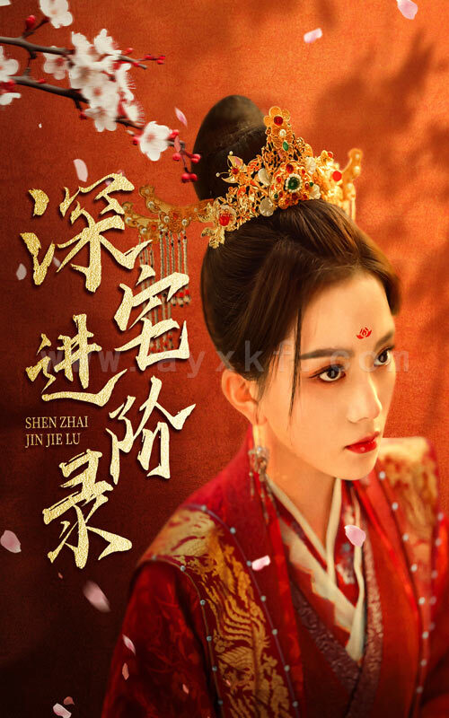 7553-深宅进阶录(80集)马秋元 最新 图1张