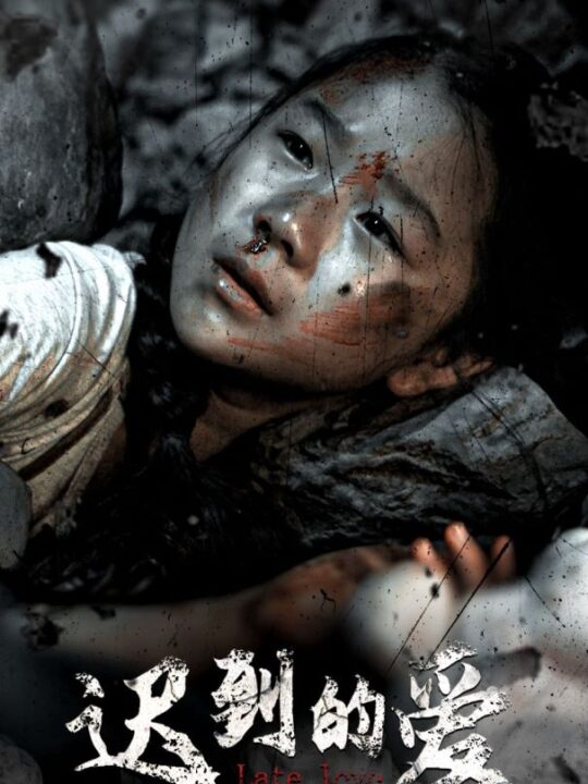 9393-迟到的爱(48集)