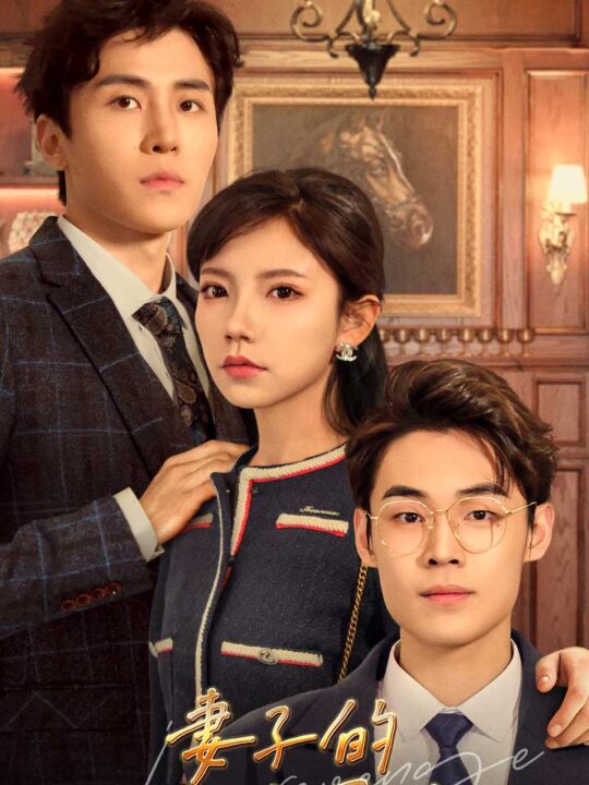 9121-妻子的绝境反击(81集)