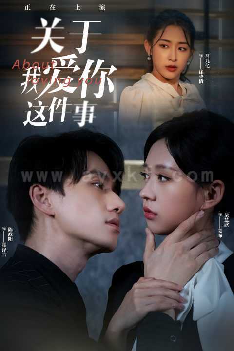 9138-关于我爱你这件事(83集)陈政阳-柴慧欣