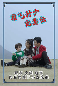 9245-霸气封少宠妻忙(80集)