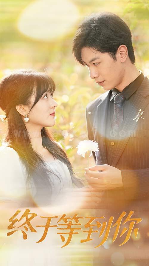 9019-终于等到你-你是我的木槿年华(80集) 最新 图1张