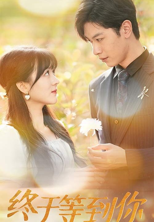 9019-终于等到你-你是我的木槿年华(80集)