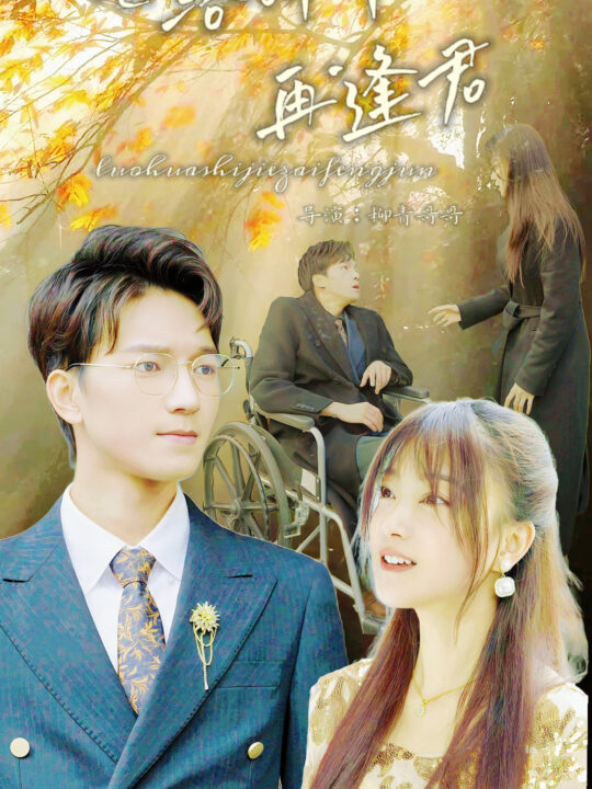 8775-落花时节再逢君(82集)