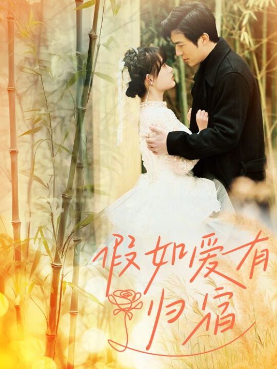 9011-假如爱有归宿(73集)呆呆