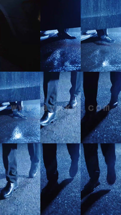 8622-捡来的夫人是大佬(90集)