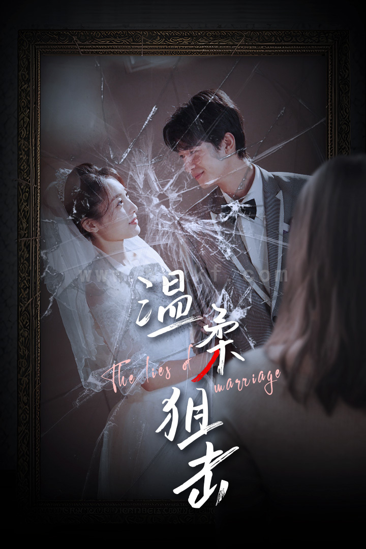 10327-温柔狙击-婚姻迷雾-婚姻的谎言(81集)橙子 最新 图1张