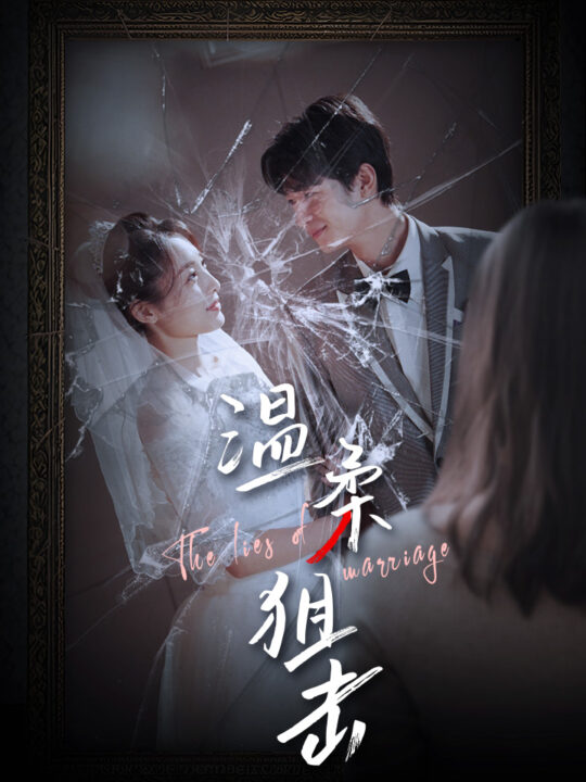 10327-温柔狙击-婚姻迷雾-婚姻的谎言(81集)橙子