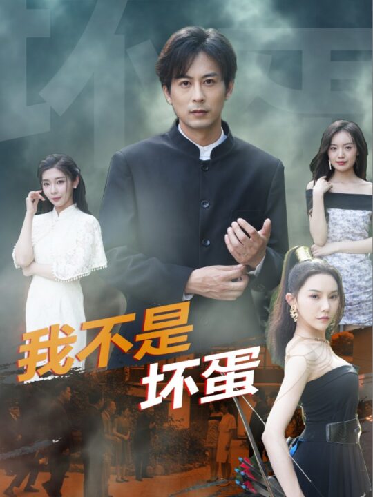 10541-我不是坏蛋(84集)路莎-吴玥子