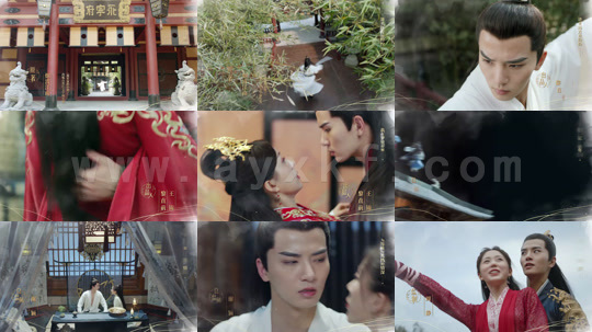 ssd5313-将军家的小娘子-电视剧