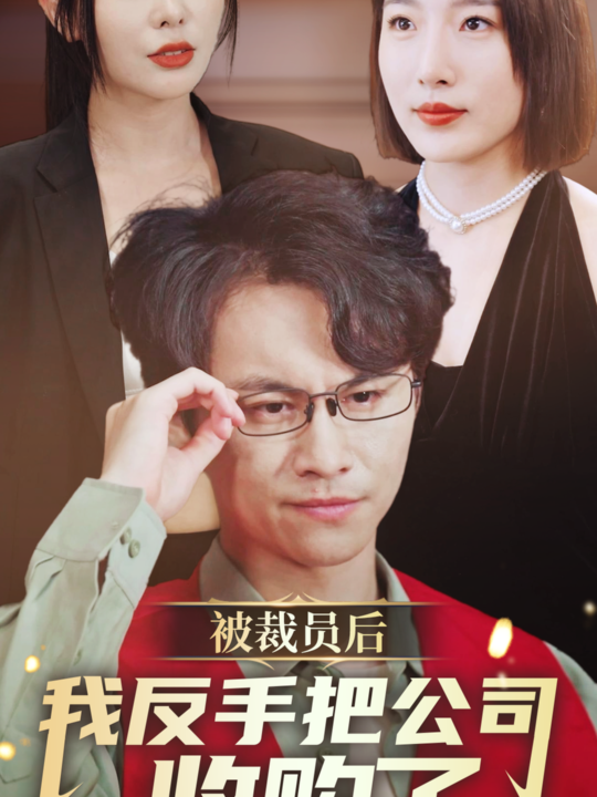 ssd5888-被裁员后我反手把公司收购了