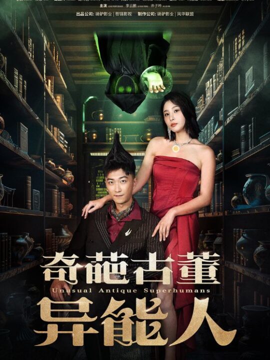 11078-奇葩古董异能人(65集)李云鹏-许子吟