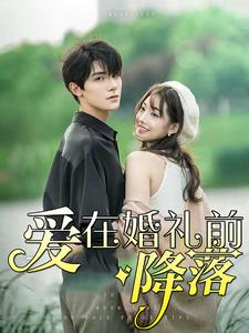 11527-爱在婚礼前降落(50集)白昕怡-朱一未