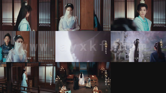 少年白马醉春风