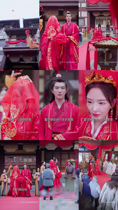 ssd5462-医妃有毒不好惹