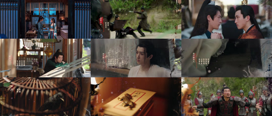 ssd5531-无主之花 最新 图1张