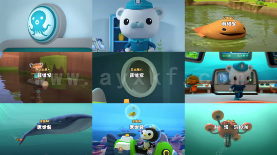 海底小纵队第五季