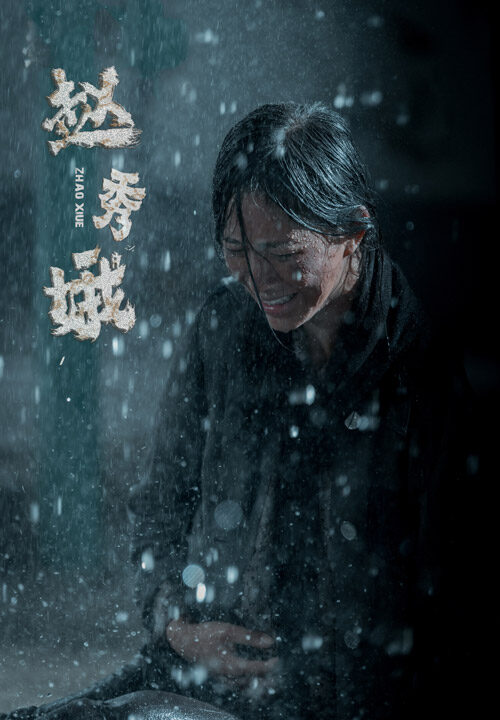 11986-赵秀娥(55集)